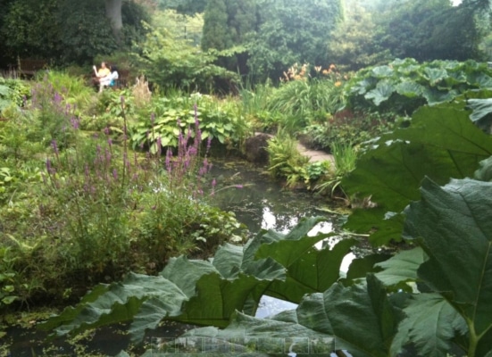 Fletcher Moss Park And Botanical Gardens