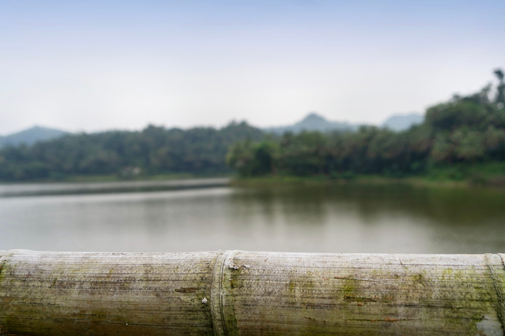 out of focus shot of a woodland and lake