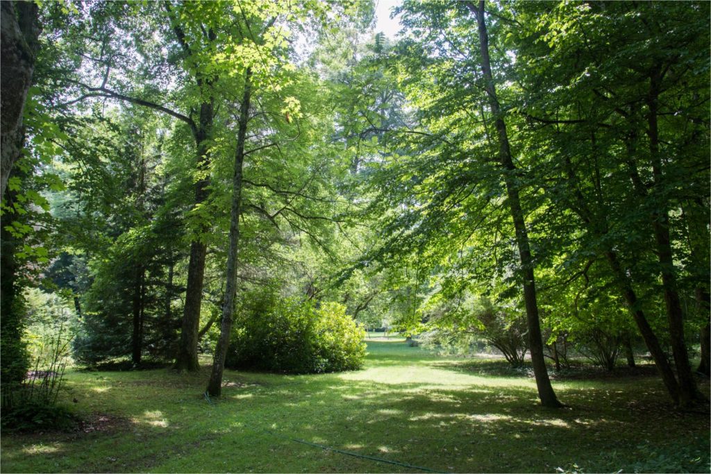 Lush green gardens